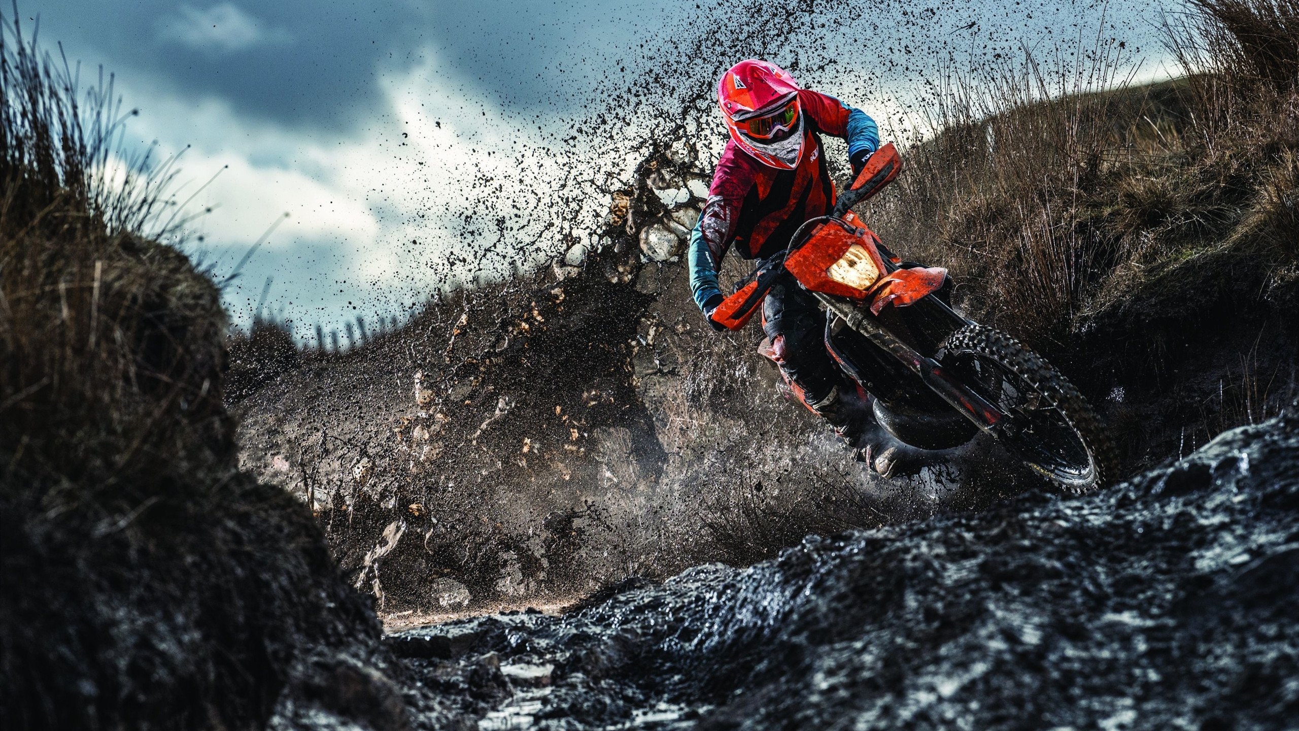 体能训练专项课实施后球员平均速度与爆发力双双提升，职业球员体能训练